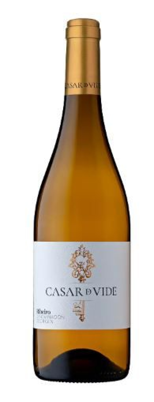 CASAR DE VIDE MAGNUM (6)
