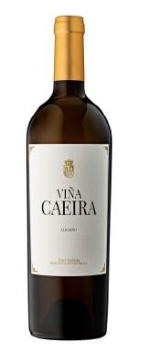 VIÑA CAEIRA MAGNUM (6)